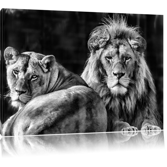 Home Loft Concept Beautiful Lion Couple in Monochrome Wall Art on